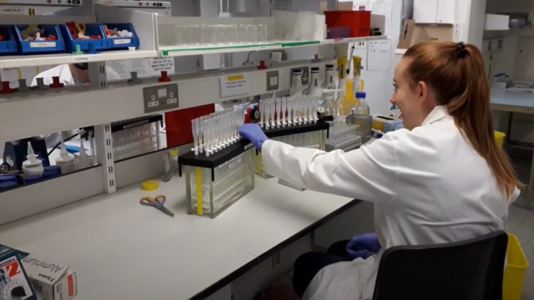 Female working in a laboratory