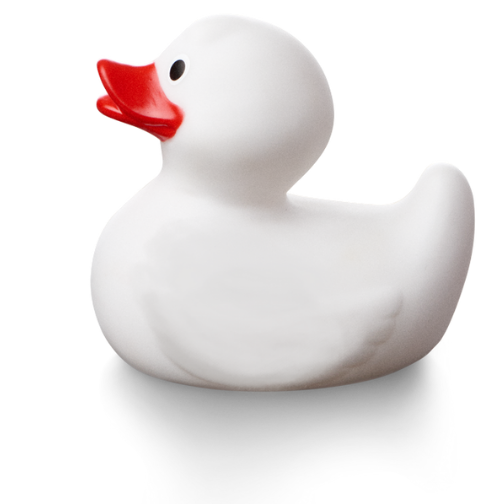 Squeaky duck headshot