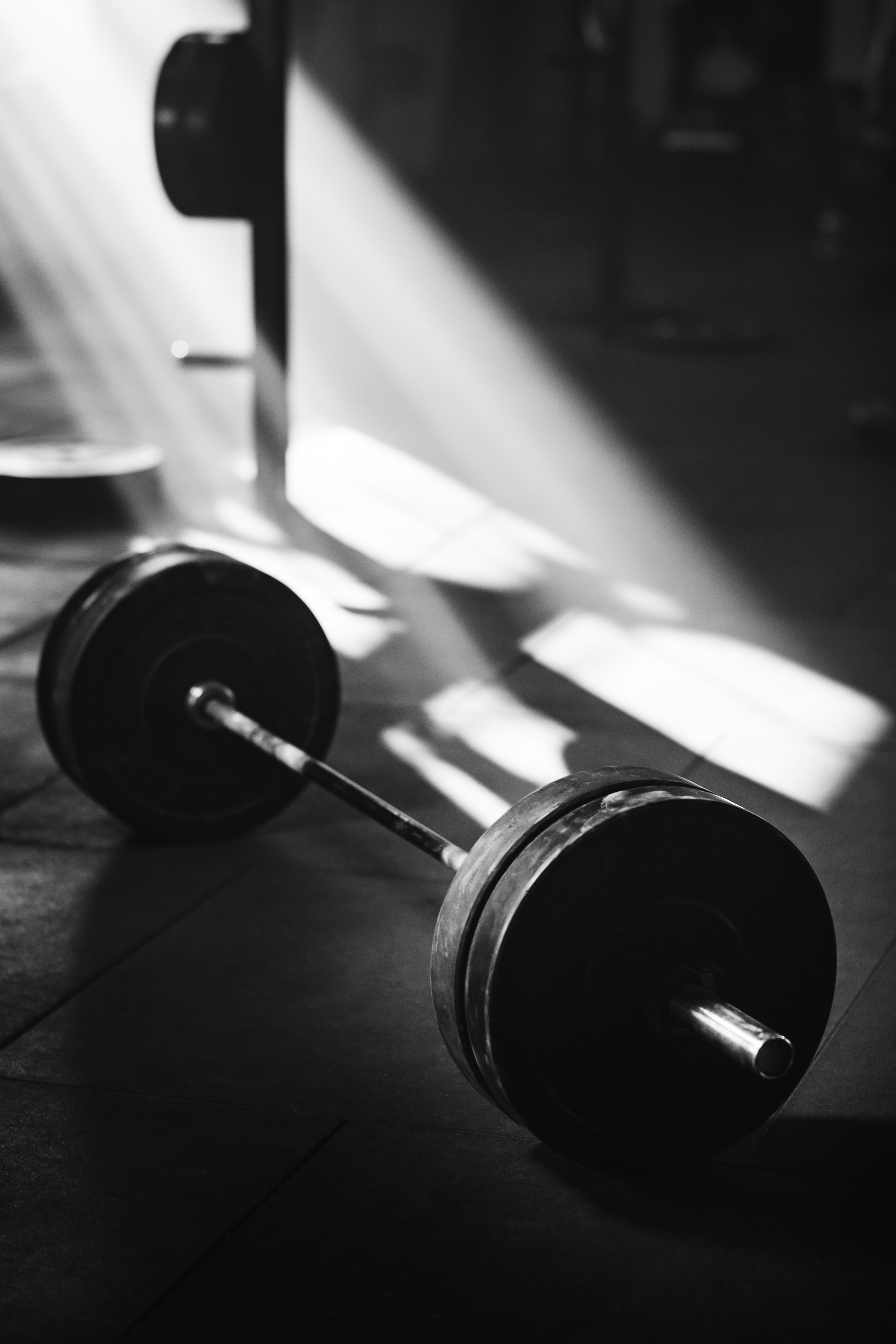 Barbell in the gym