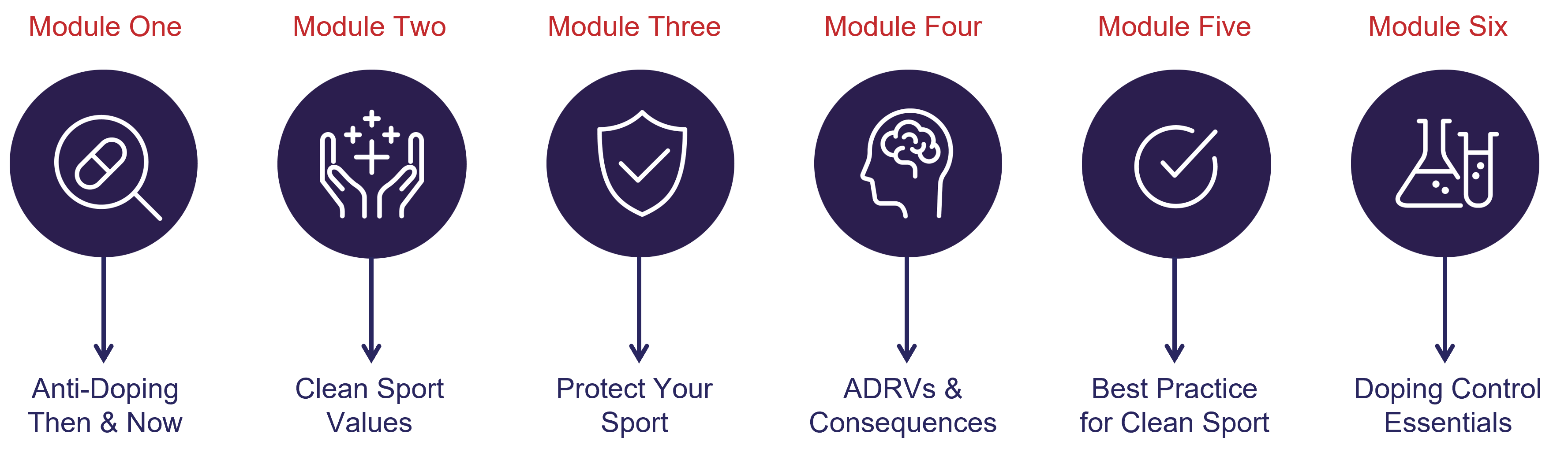 This diagram displays the six modules of the course: (1) Anti-Doping Then and Now, (2) Clean Sport Values, (3) Protect Your Sport, (4) ADRVs and Consequences, (5) Best Practice for Clean Sport and (6) Doping Control Essentials. 