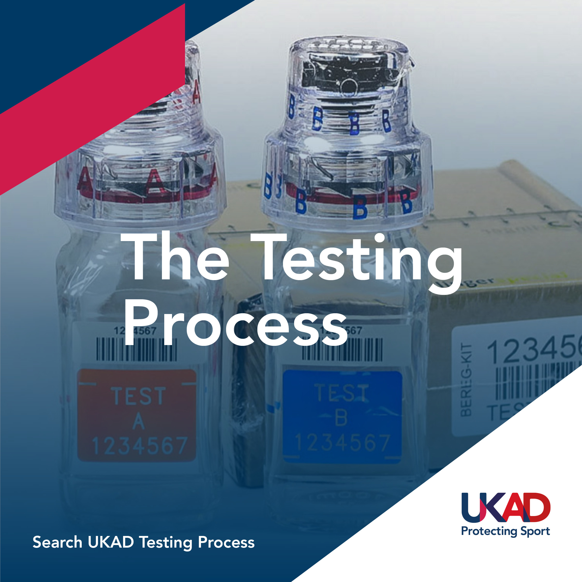 Graphic reads "the Testing Process" with an image of testing sample bottles in the background
